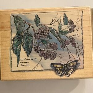 Bramble Berry Sketch from Stampabilities Stamp